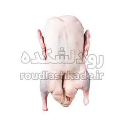 غاز محلی پرکنده | رودلشکده