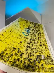 چراغ سایلنت جذب حشرات مدل دیواری ساده