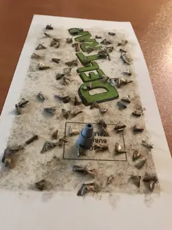 فرومون جذب شپشه برنج با تله چسبی