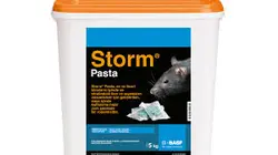 سم موش کش قوی storm pasta