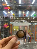 کروم انواع رنگ ها Ani Chrome
