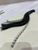 مژه مصنوعی ریلی ریسه ای کایلی فر D شماره L12 دونه ای