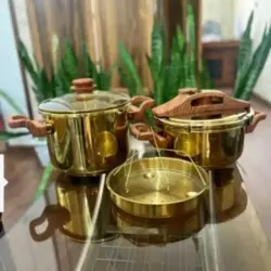 زود پز دوقلو تفال طلایی