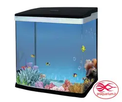 آکواریوم دلسا k-320 بدون پایه (سفید-مشکی)