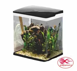 آکواریوم دلسا k500 بدون پایه (سفید-مشکی)