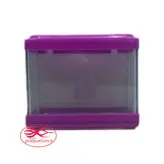 آکواریوم رومیزی مینی گنجایش 3 لیتر