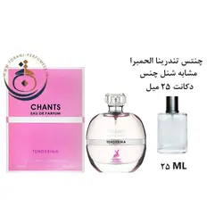 دکانت 25 میل عطر ادکلن اورجینال چنس تندرینا الحمبرا ( مشابه شنل چنس او تندر ) زنانه 100 میل | CHANCE TENDERINA ALHAMBRA