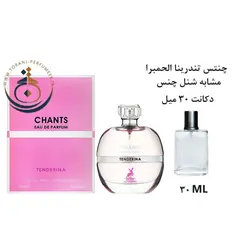 دکانت 30 میل عطر ادکلن اورجینال چنس تندرینا الحمبرا ( مشابه شنل چنس او تندر ) زنانه 100 میل | CHANCE TENDERINA ALHAMBRA