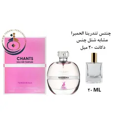 دکانت 20 میل عطر ادکلن اورجینال چنس تندرینا الحمبرا ( مشابه شنل چنس او تندر ) زنانه 100 میل | CHANCE TENDERINA ALHAMBRA