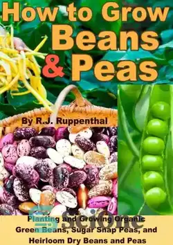 دانلود کتاب How to Grow Beans and Peas: Planting and Growing Organic Green Beans, Sugar Snap Peas, and Heirloom Dry Beans and Peas - نحوه کاشت لوبیا و نخود: کاشت و پرورش لوبیا سبز ارگانیک، نخود قندی و لوبیا و نخود خشک موروثی - سای وان | SciOne