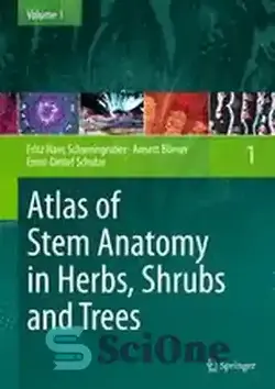 دانلود کتاب Atlas of Stem Anatomy in Herbs, Shrubs and Trees: Volume 1 - اطلس آناتومی ساقه در گیاهان، درختچه ها و درختان: جلد 1 - سای وان | SciOne