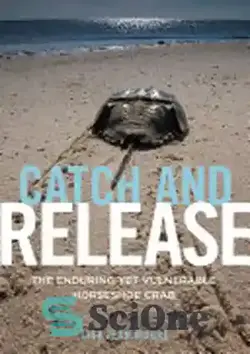 دانلود کتاب Catch and Release: The Enduring Yet Vulnerable Horseshoe Crab - بگیر و رها کن: خرچنگ نعل اسبی پایدار و در عین حال آسیب پذیر