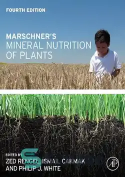 دانلود کتاب Marschner's Mineral Nutrition of Plants - تغذیه معدنی گیاهان مارشنر