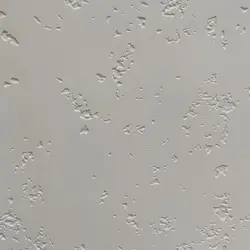 دیوارپوش مدل فومی پشت چسب دار طرح پتینه ای بسته 5 عددی