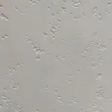 دیوارپوش مدل فومی پشت چسب دار طرح پتینه ای بسته 5 عددی