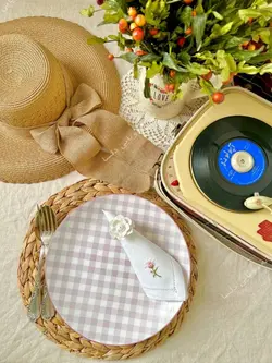 بشقاب چهارخونه زاراهوم