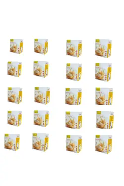 پک ۲۰ عددی پودر جوانه گندم بین استار(بیز)