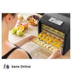 دستگاه میوه خشک کن حرفه ای سنکور مدل SFD 6601BK کیفیت عالی ساخت جمهوری چک