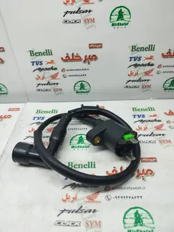 کوئل برق شمع 2 فیش