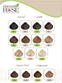 رنگ مو N3 رز داماسک rose damask