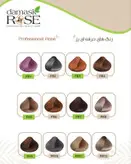 رنگ مو PR11 ماسه ای اخرایی رزداماسکrose damask