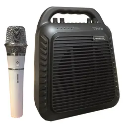 اکوهمراه اکو چنگ مدل توئین به همراه میکروفن - قیمت و خرید آنلاین - قاطی پاتی