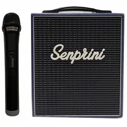 اکو پرتابل اکو چنگ مدل SAFARI به همراه میکروفن بی سیم - قیمت و خرید آنلاین - قاطی پاتی