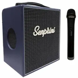 اکو پرتابل اکو چنگ مدل SAFARI به همراه میکروفن بی سیم - قیمت و خرید آنلاین - قاطی پاتی