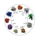 پولک کد SPGC-011 وزن 100 گرم - قیمت و خرید آنلاین - قاطی پاتی