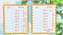 آلبوم عکس کینو فیت مدل Baby Album - قیمت و خرید آنلاین - قاطی پاتی