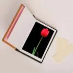 آلبوم عکس مدل 1005 - قیمت و خرید آنلاین - قاطی پاتی