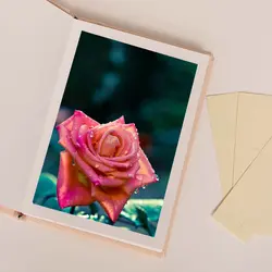 آلبوم عکس مدل 1020 - قیمت و خرید آنلاین - قاطی پاتی