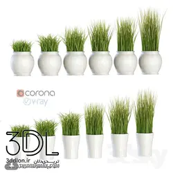 آبجکت گیاه Plant 781