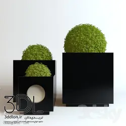 آبجکت گیاه Plant 780