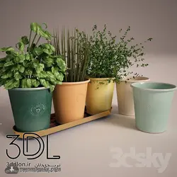 آبجکت گیاه Plant 779