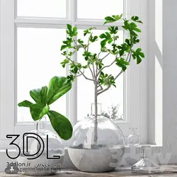 آبجکت گیاه Plant 777