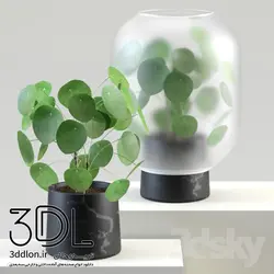 آبجکت گیاه Plant 773