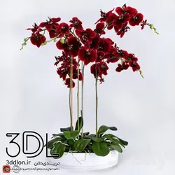 آبجکت گیاه Plant 765