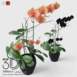 آبجکت گیاه Plant 764