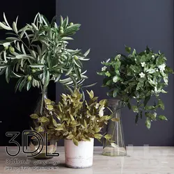 آبجکت گیاه Plant 761