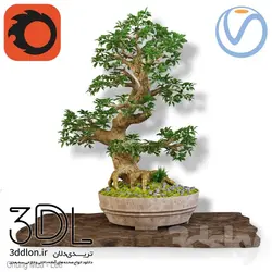 آبجکت گیاه Plant 760