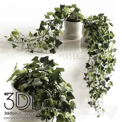 آبجکت گیاه Plant 759