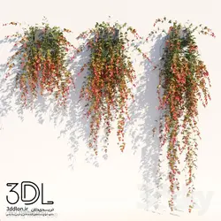 آبجکت گیاه Plant 754