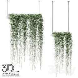 آبجکت گیاه Plant 753