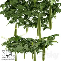 آبجکت گیاه Plant 752