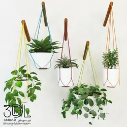 آبجکت گیاه Plant 748