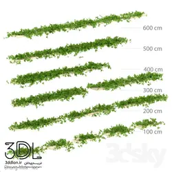 آبجکت گیاه Plant 741