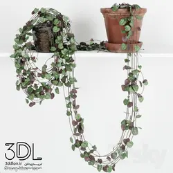 آبجکت گیاه Plant 739
