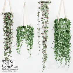 آبجکت گیاه Plant 738
