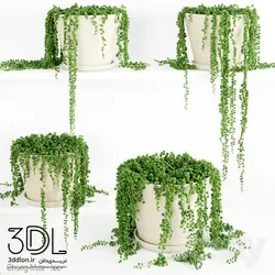 آبجکت گیاه Plant 737